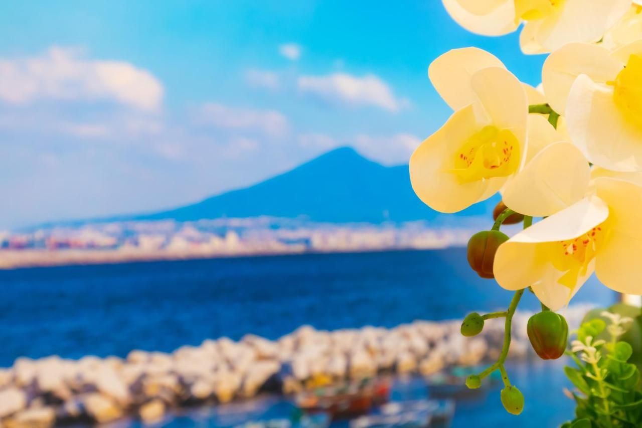 Le Meraviglie Di Napoli Εξωτερικό φωτογραφία